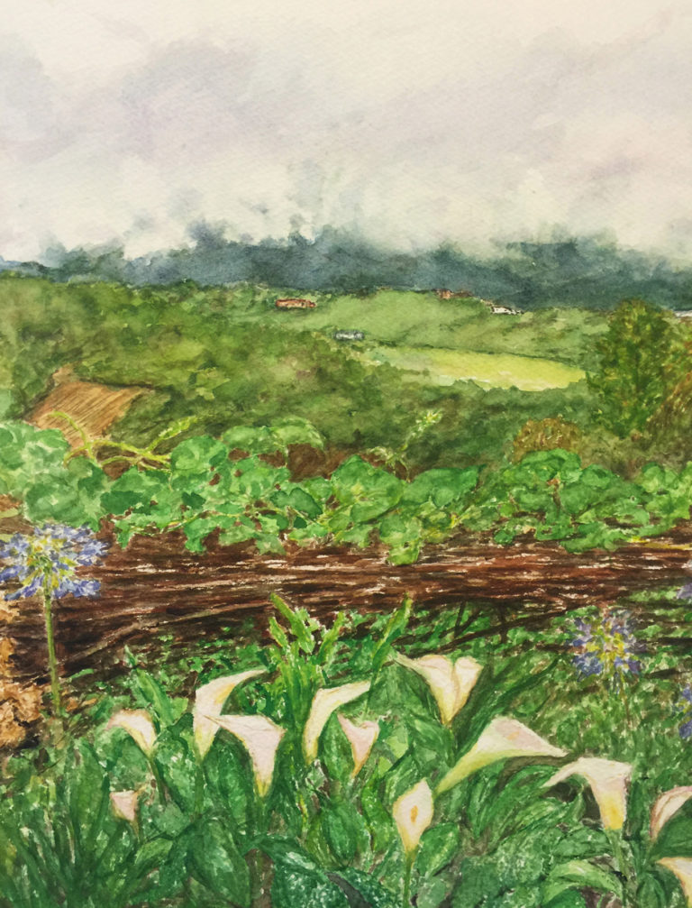 Guatmala Vista 11×14 $450